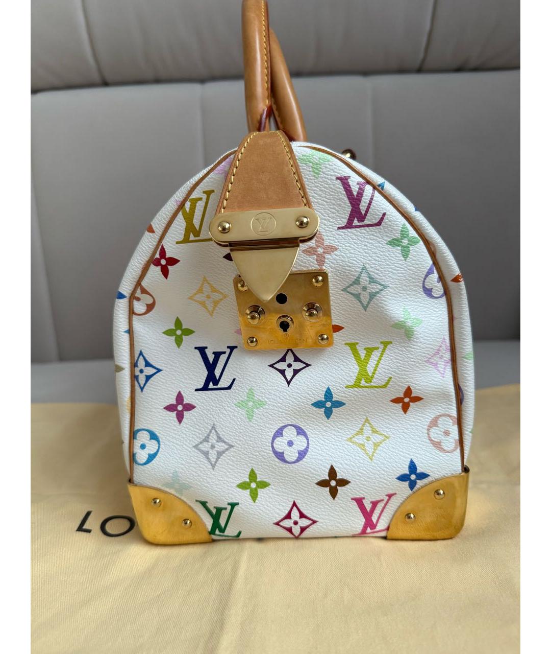 LOUIS VUITTON Мульти сумка с короткими ручками, фото 4