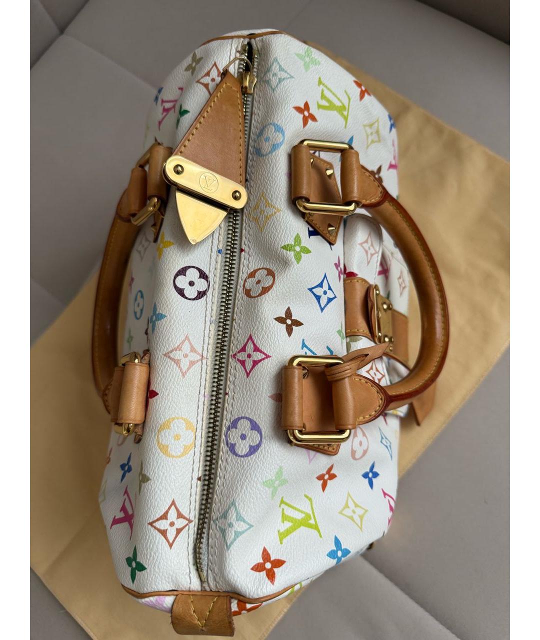 LOUIS VUITTON Мульти сумка с короткими ручками, фото 8