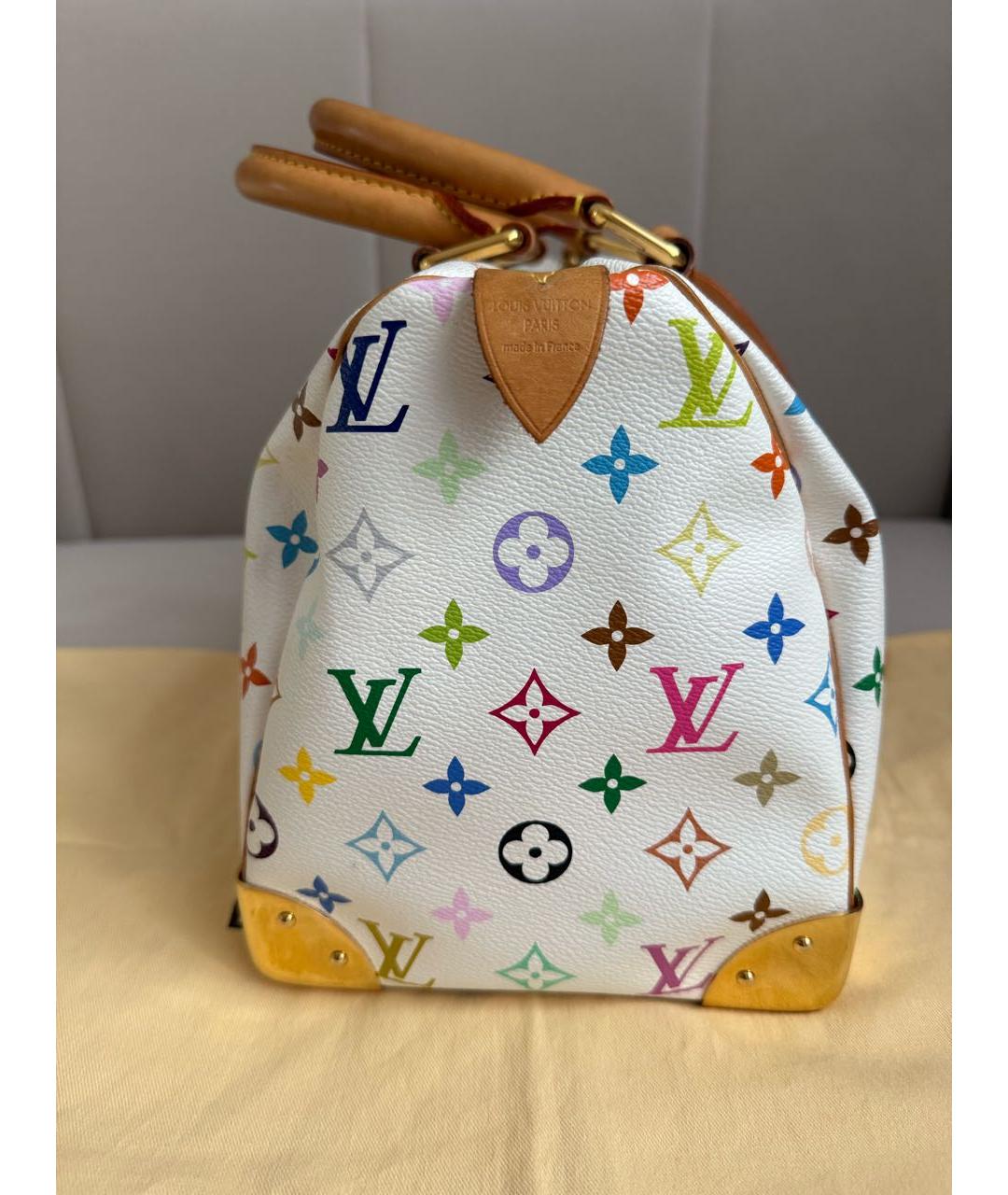 LOUIS VUITTON Мульти сумка с короткими ручками, фото 6