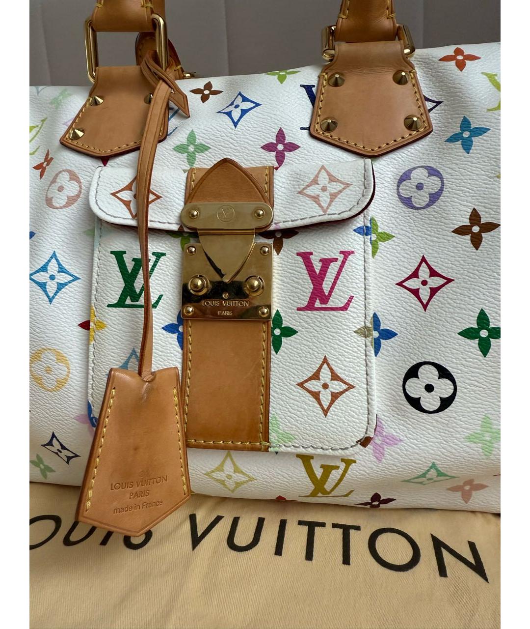 LOUIS VUITTON Мульти сумка с короткими ручками, фото 2