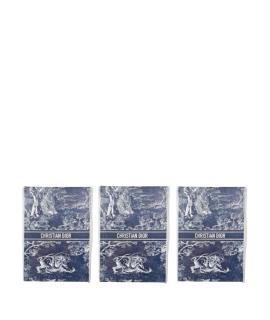 CHRISTIAN DIOR Книга