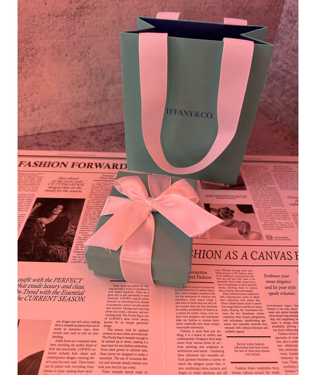 TIFFANY&CO Серебряные серебряные серьги, фото 5