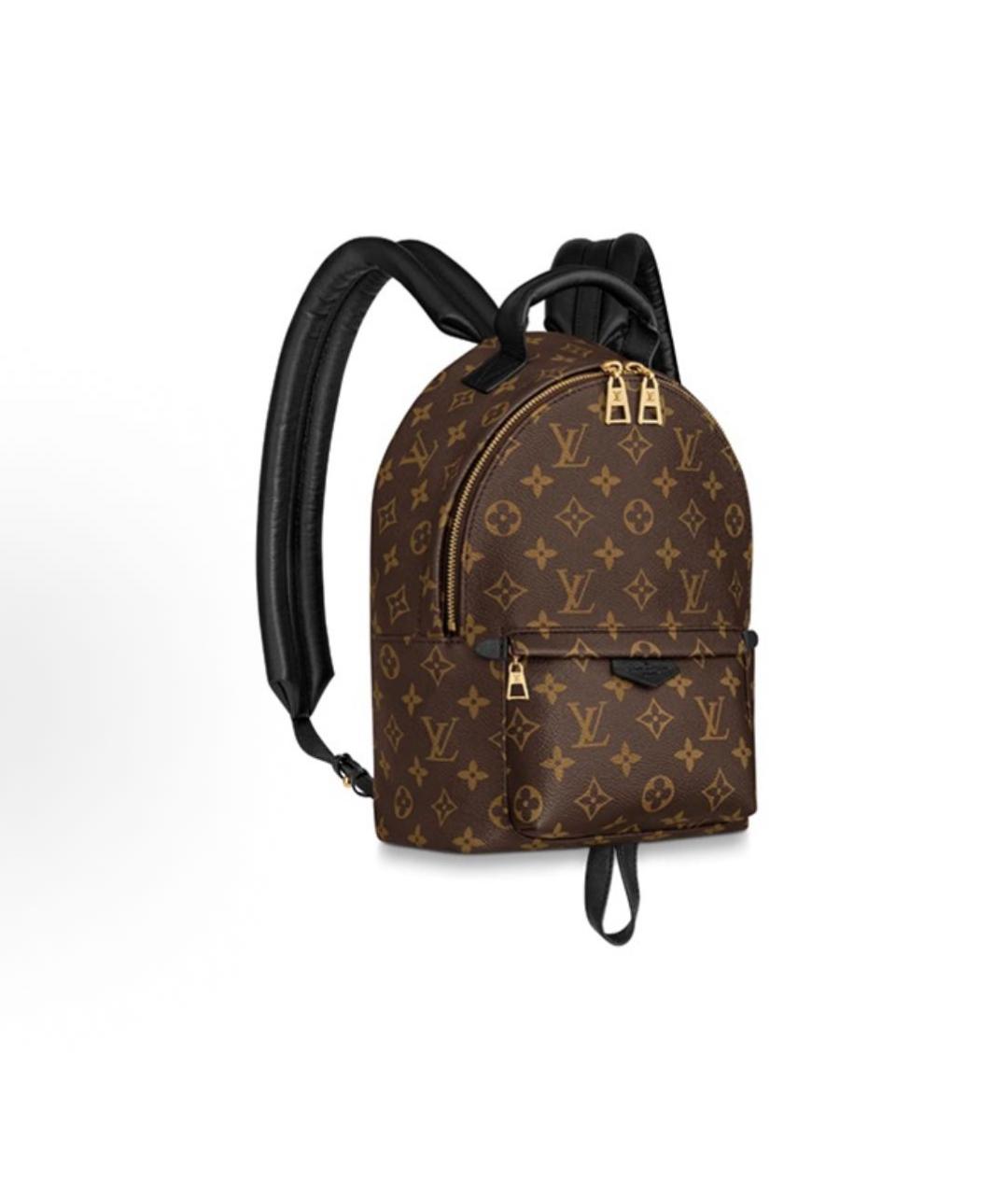 LOUIS VUITTON Коричневый рюкзак, фото 3