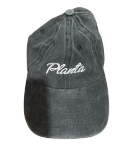 PLANTA ROSA Кепка