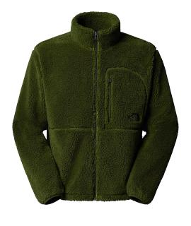 THE NORTH FACE Худи/толстовка