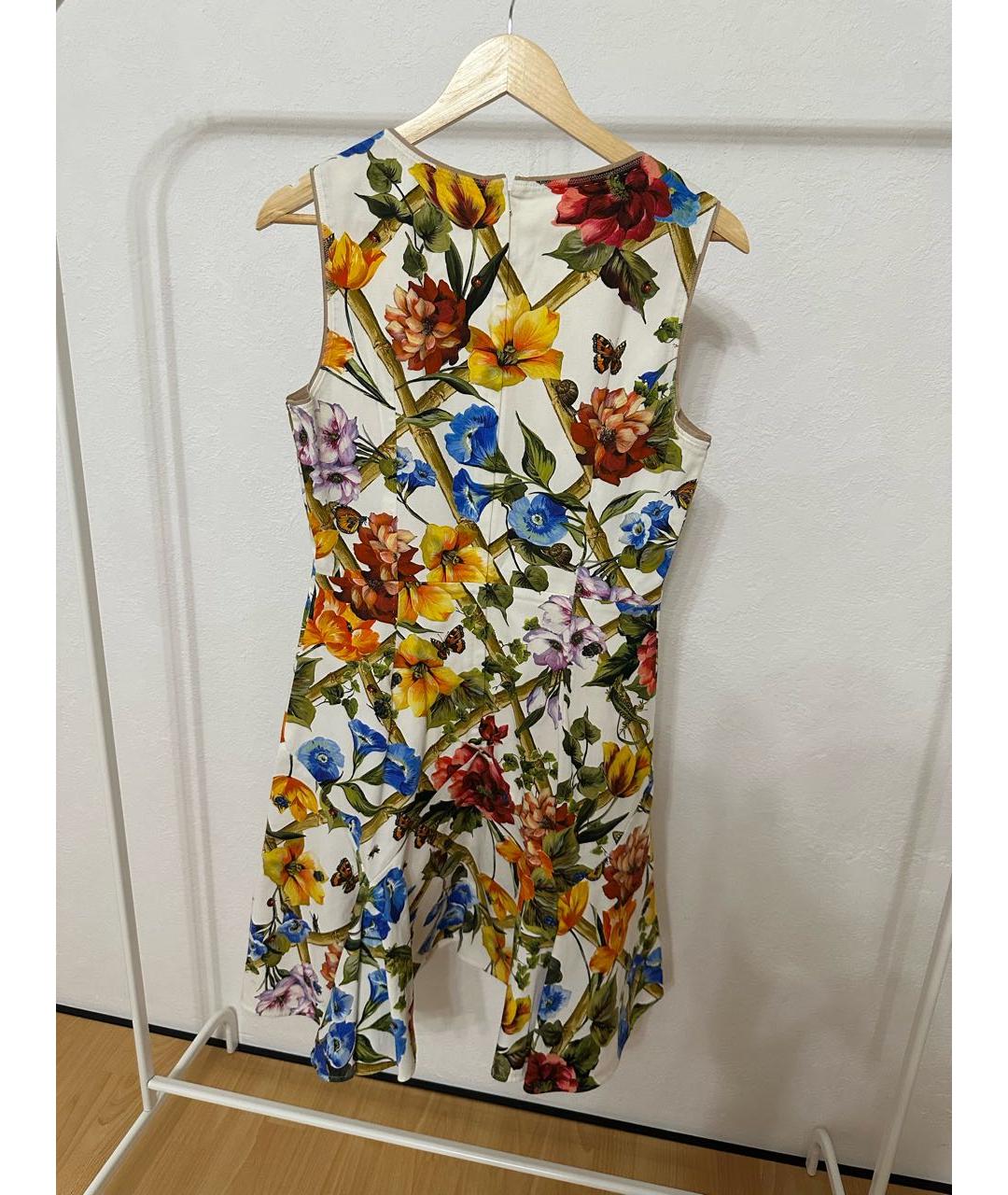 DOLCE&GABBANA Мульти хлопко-эластановый сарафан, фото 2