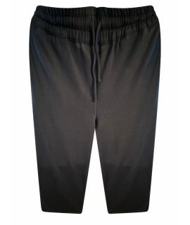 SVEVO Повседневные брюки