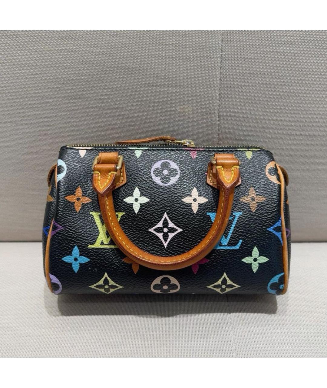 LOUIS VUITTON Мульти сумка с короткими ручками, фото 5
