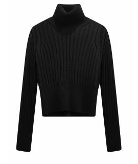 SPORTMAX Джемпер / свитер