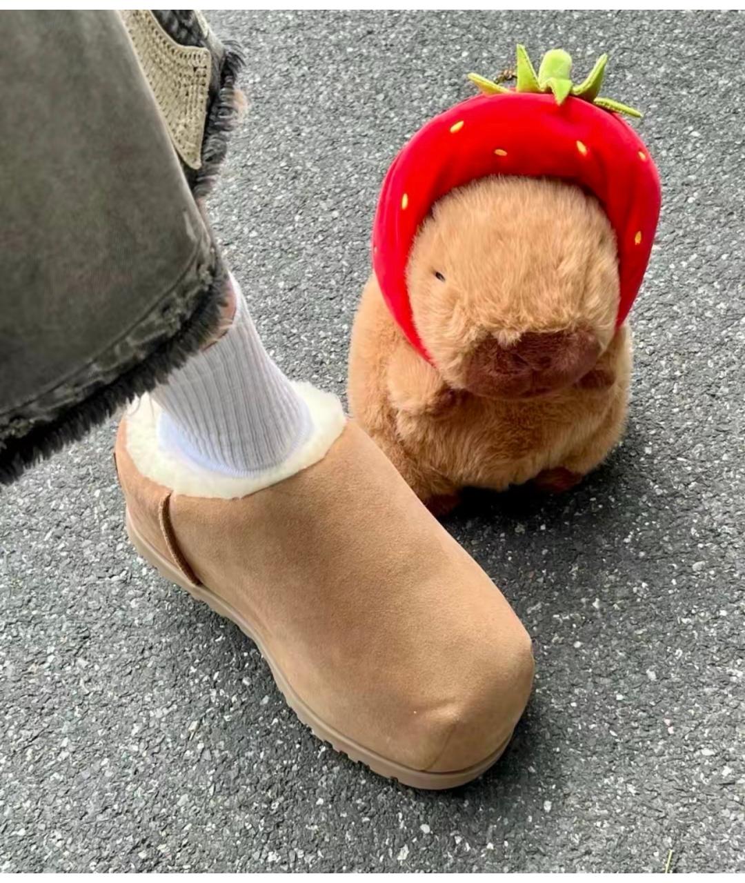 UGG AUSTRALIA Коричневые замшевые сабо, фото 5