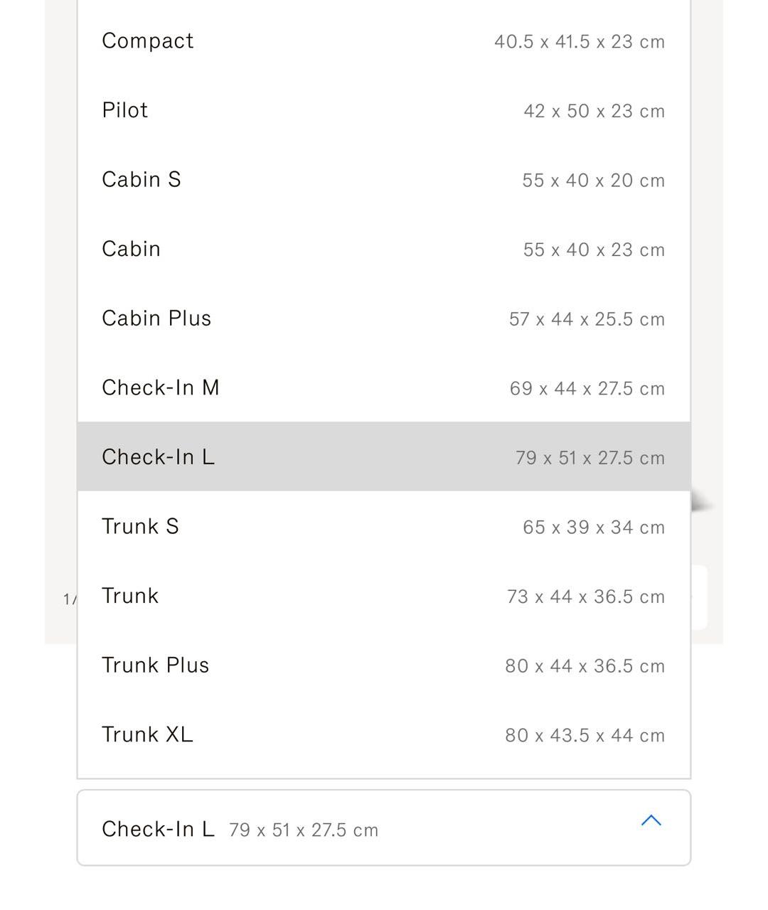 Rimowa Серебрянный чемодан, фото 4