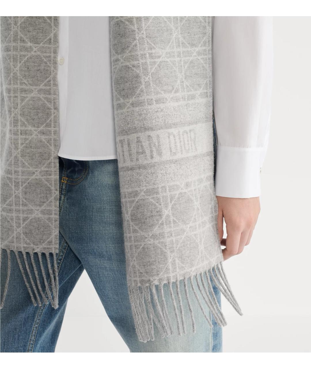 CHRISTIAN DIOR Серый шарф, фото 5