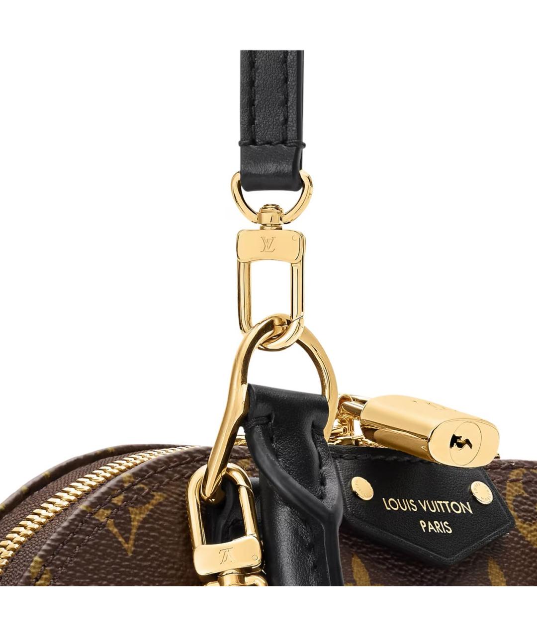 LOUIS VUITTON Коричневая кожаная сумка с короткими ручками, фото 4