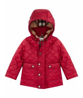 BURBERRY Верхняя одежда