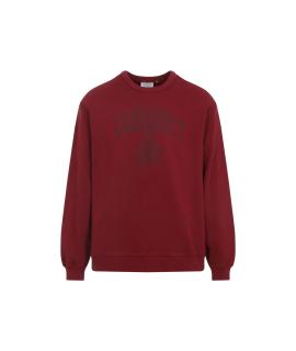 CARHARTT WIP Худи/толстовка