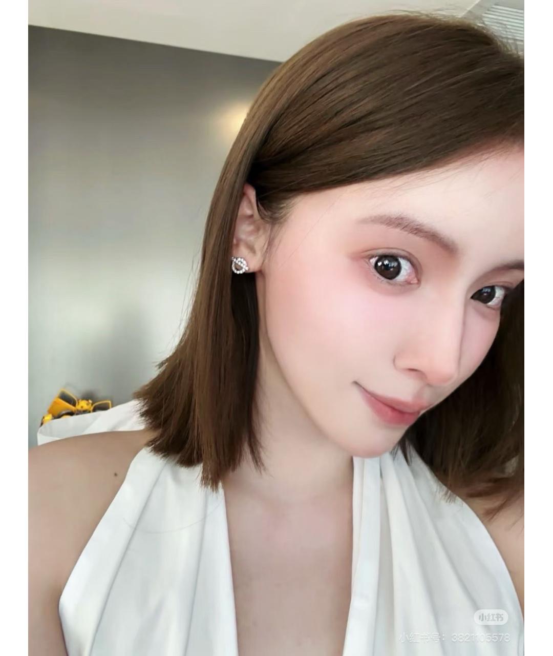 HERMES Серебряные серьги из белого золота, фото 8