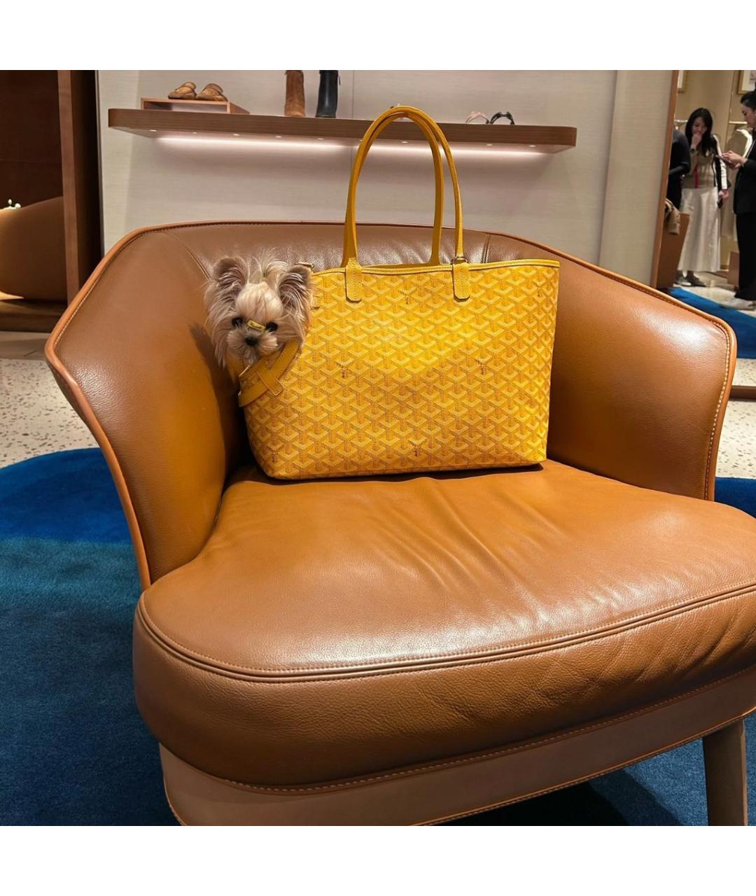 GOYARD Желтая кожаная сумка с короткими ручками, фото 2