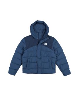 THE NORTH FACE Пуховик