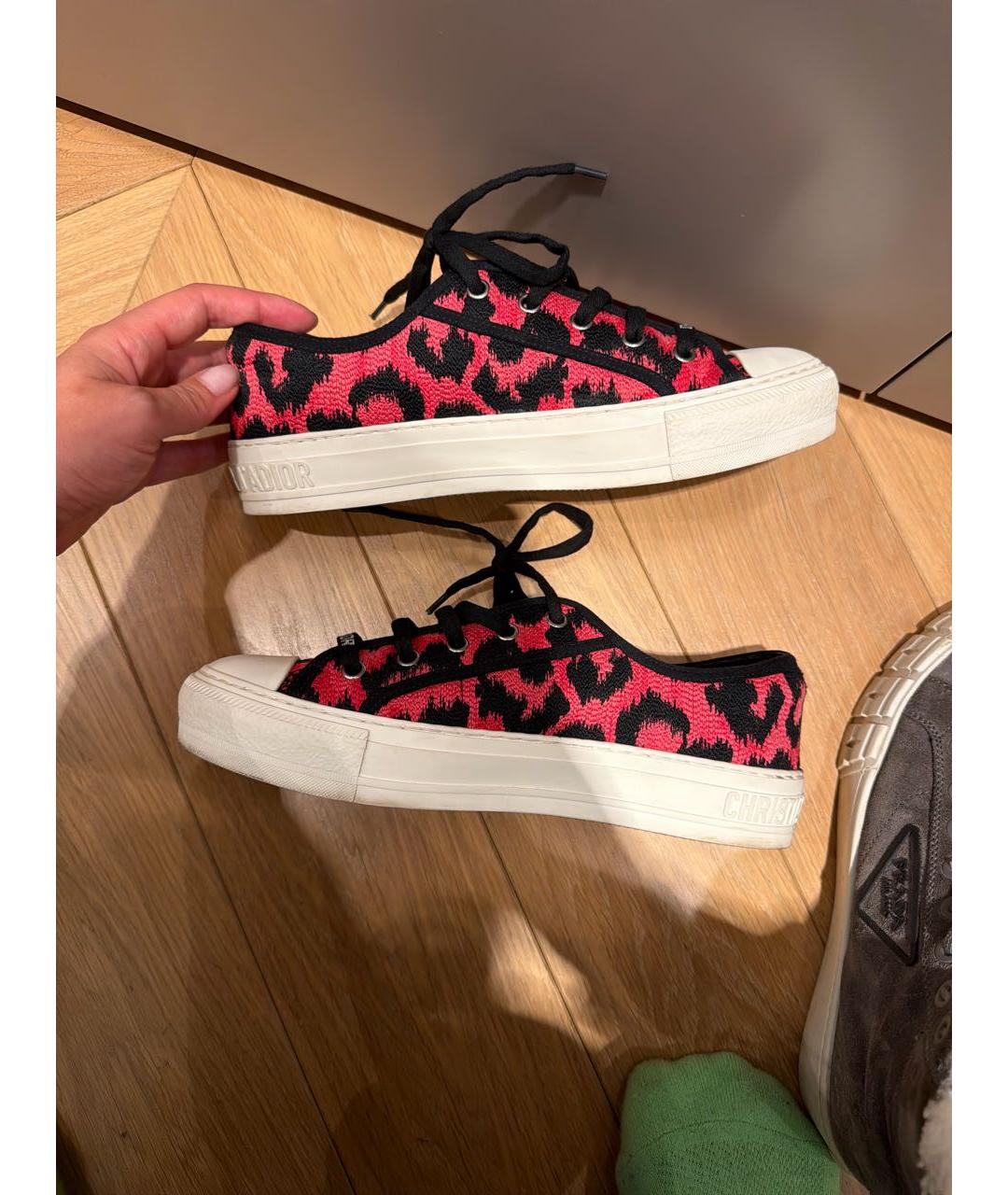 CHRISTIAN DIOR Мульти текстильные кеды, фото 7