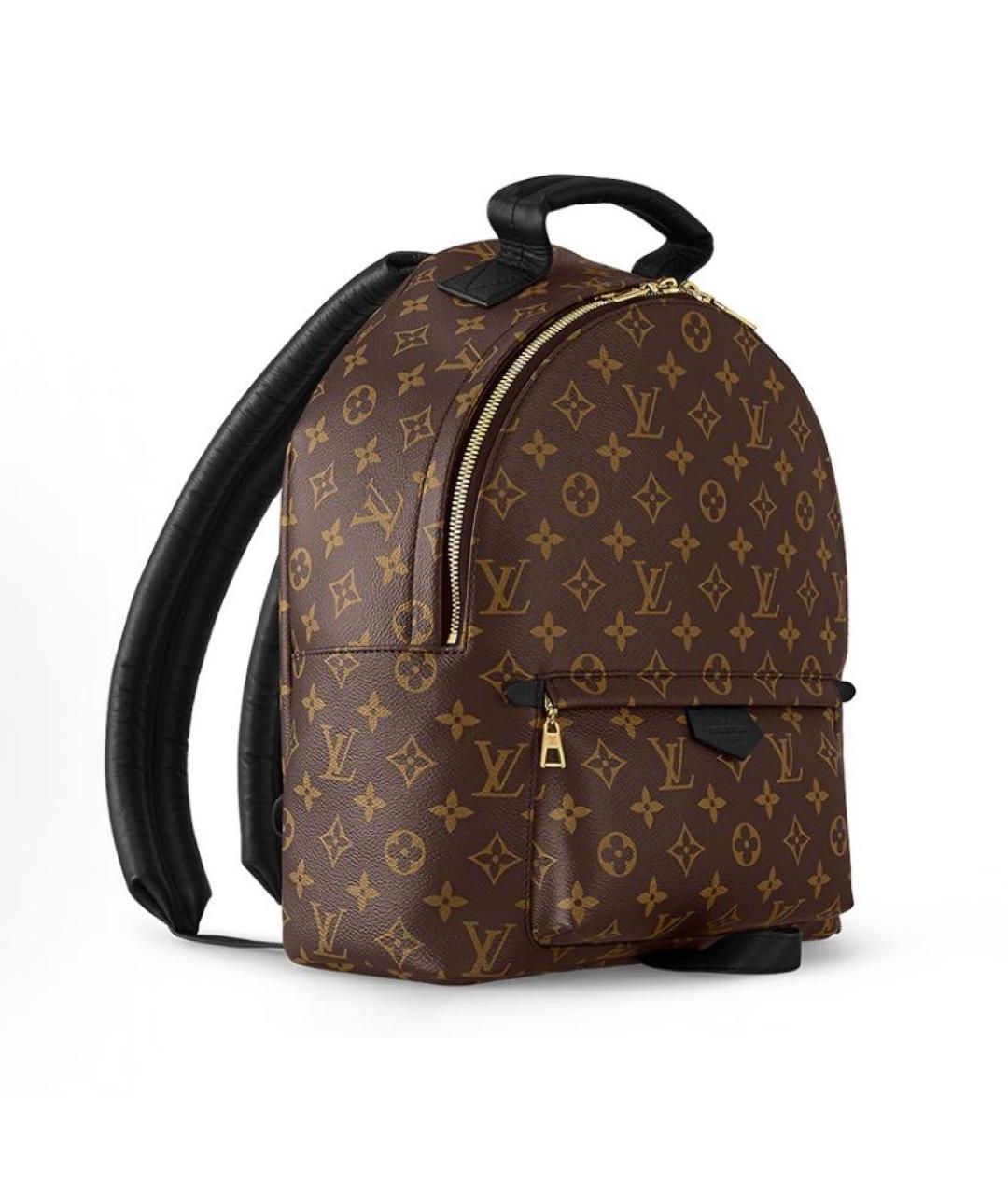 LOUIS VUITTON Коричневый рюкзак, фото 2