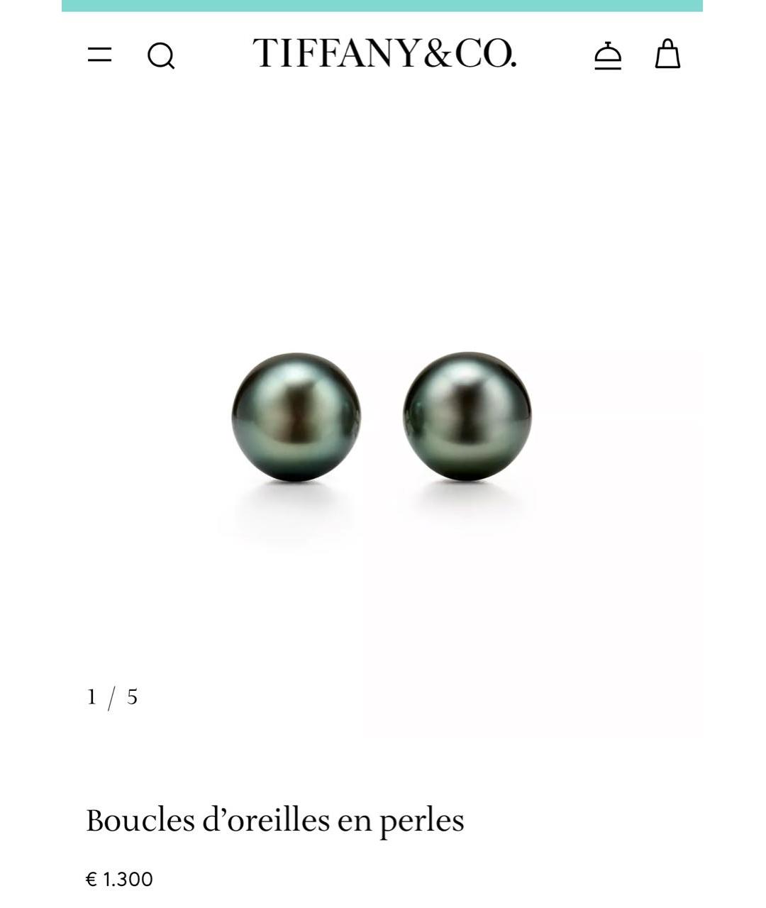 TIFFANY&CO Серьги из белого золота, фото 1