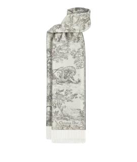 CHRISTIAN DIOR Шарф