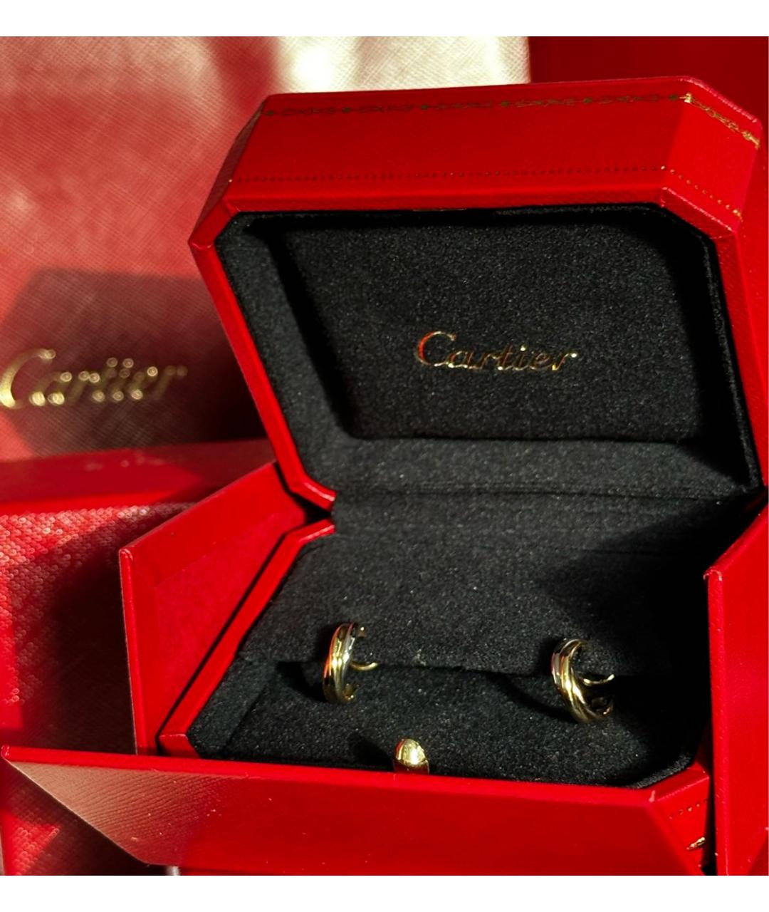 CARTIER Золотые серьги из белого золота, фото 3