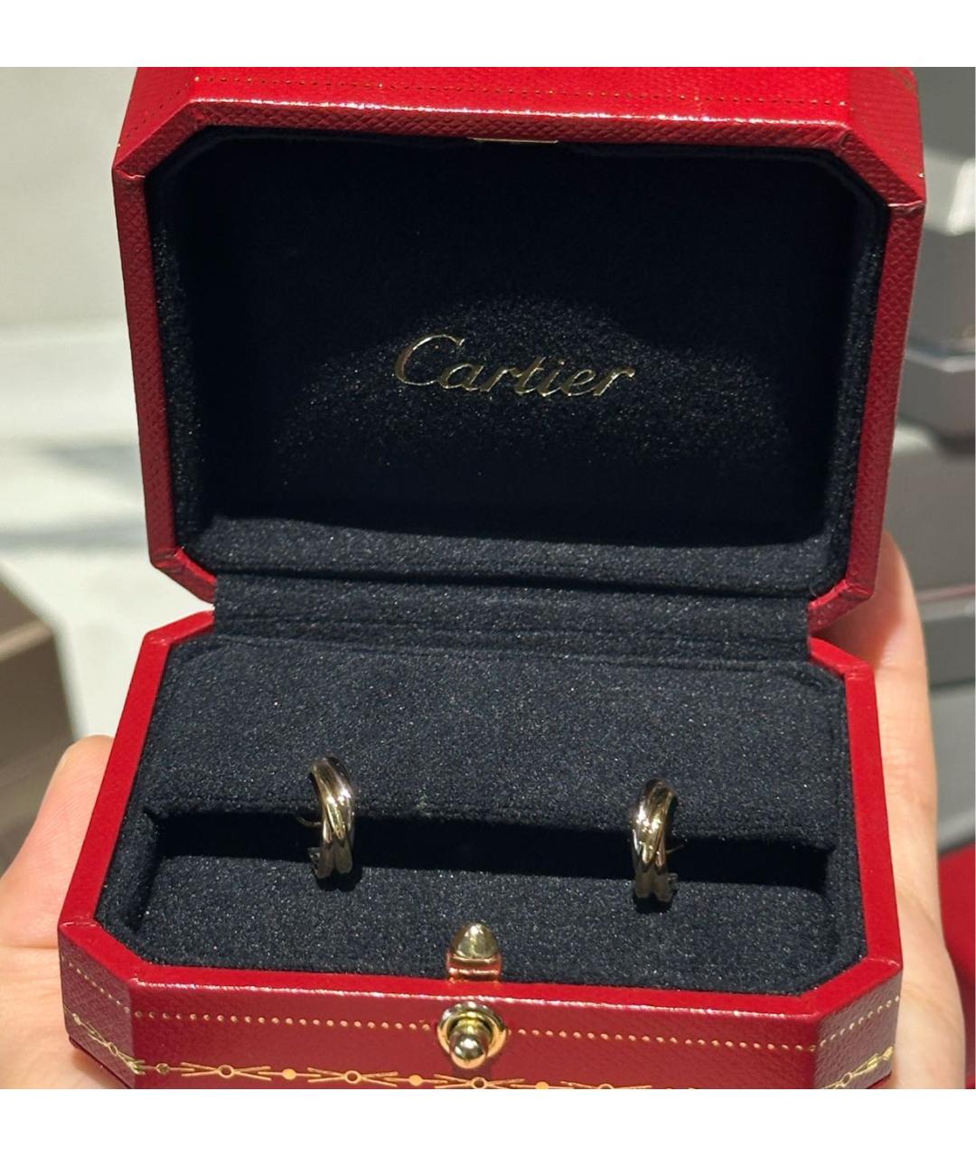 CARTIER Золотые серьги из белого золота, фото 4