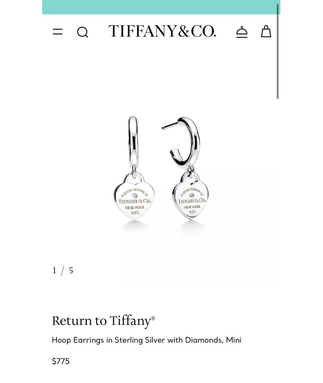 TIFFANY&CO Серебряные серебряные серьги, фото 7