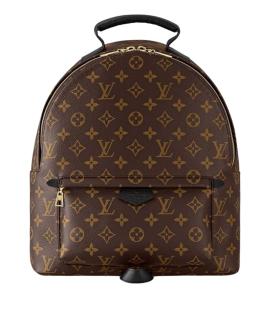 LOUIS VUITTON Рюкзак