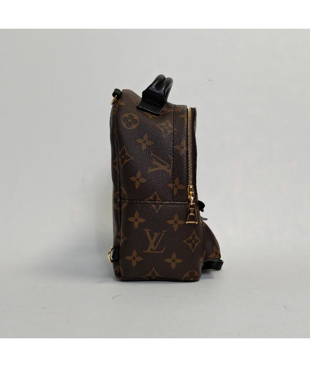 LOUIS VUITTON Коричневый рюкзак, фото 6