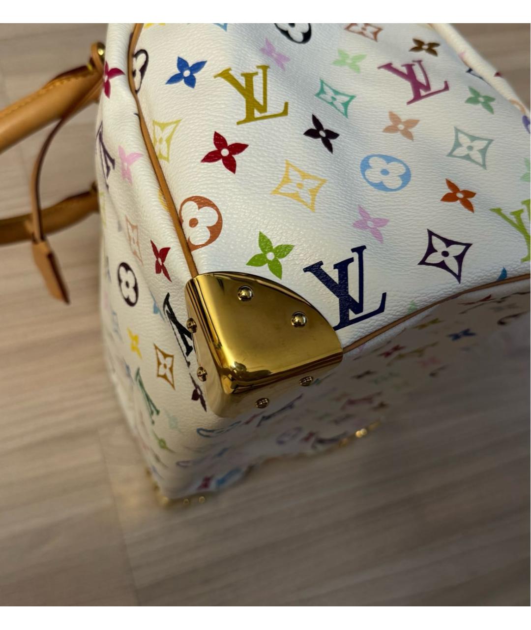 LOUIS VUITTON Мульти сумка с короткими ручками, фото 6