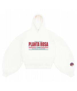 PLANTA ROSA Худи/толстовка