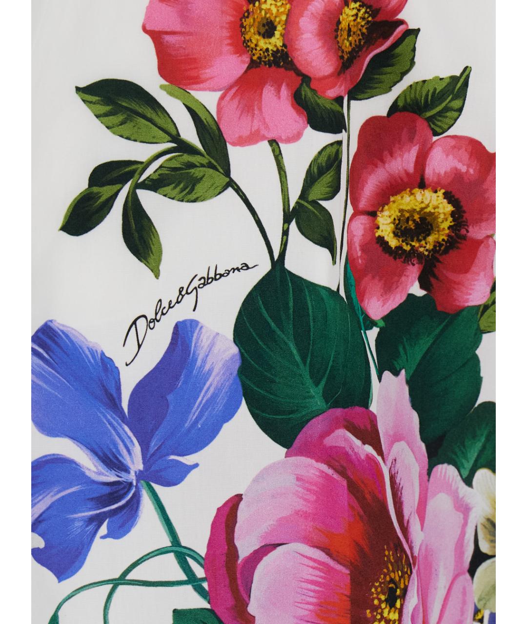 DOLCE&GABBANA Мульти хлопковые шорты, фото 3