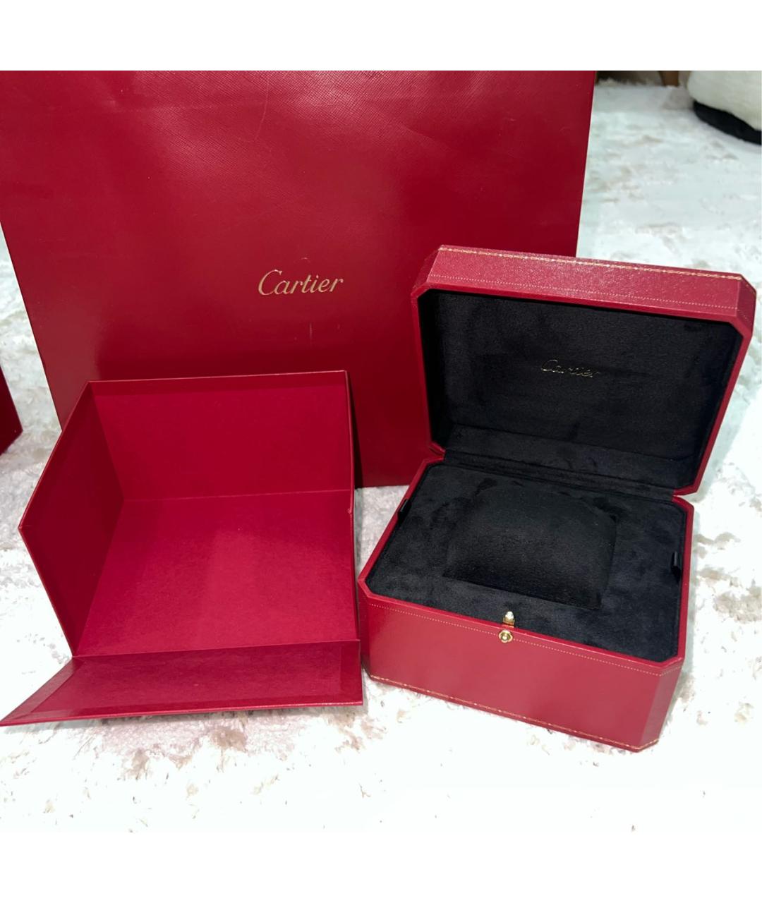 CARTIER Серебряные с серебряным покрытием часы, фото 4