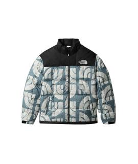 THE NORTH FACE Пуховик