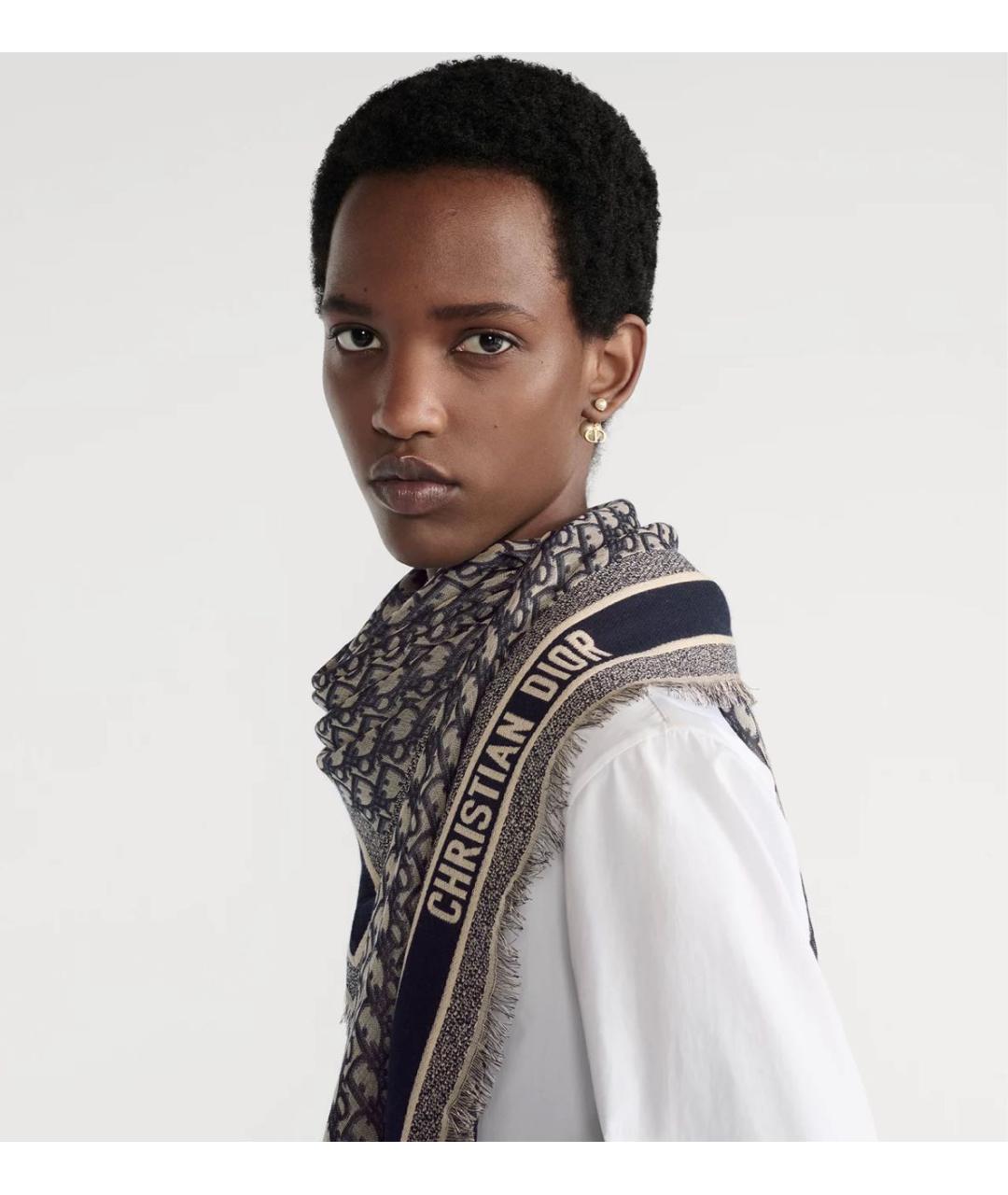 CHRISTIAN DIOR Мульти платок, фото 3