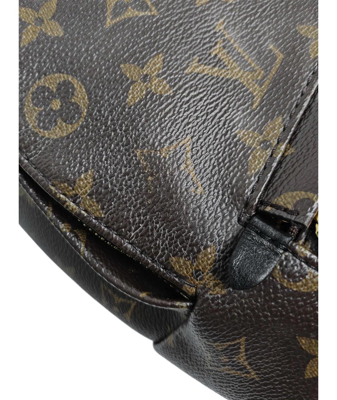 LOUIS VUITTON Коричневый рюкзак, фото 9