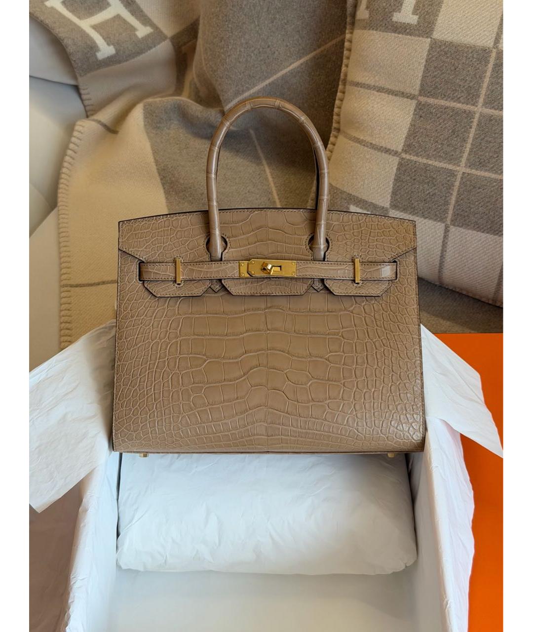 HERMES Бежевая сумка с короткими ручками из экзотической кожи, фото 2