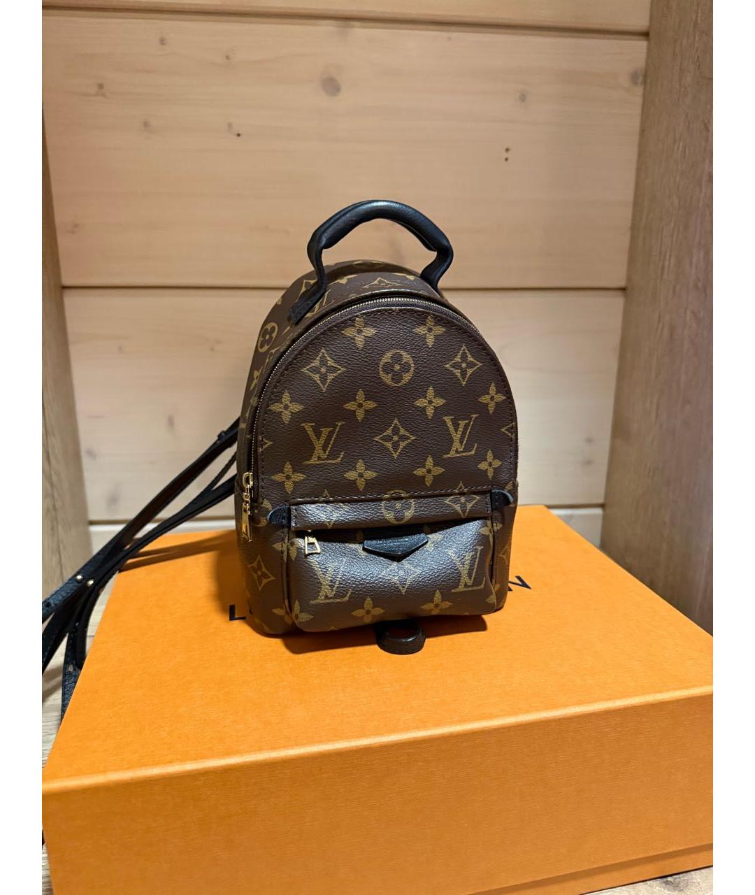 LOUIS VUITTON Коричневый рюкзак, фото 2