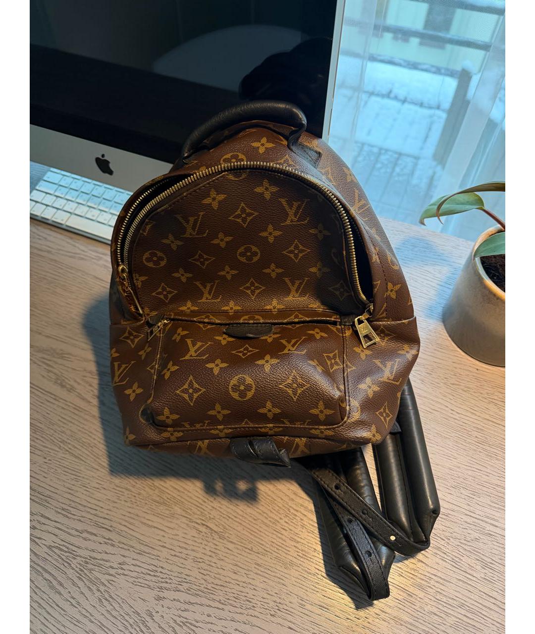 LOUIS VUITTON Коричневый рюкзак, фото 2