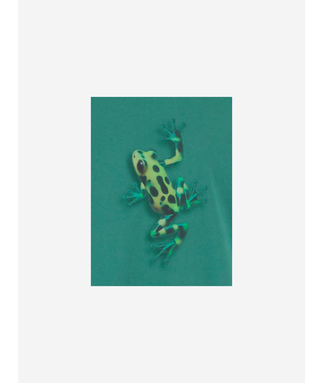 J.W.ANDERSON Зеленая хлопковая футболка, фото 3