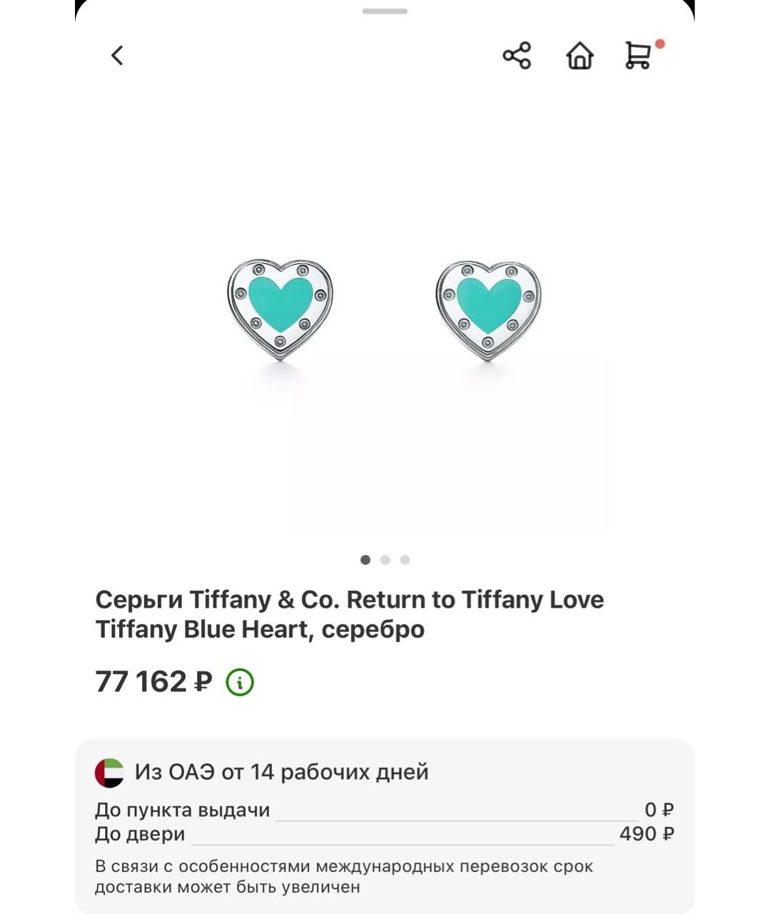 TIFFANY&CO Серебряные серебряные серьги, фото 9