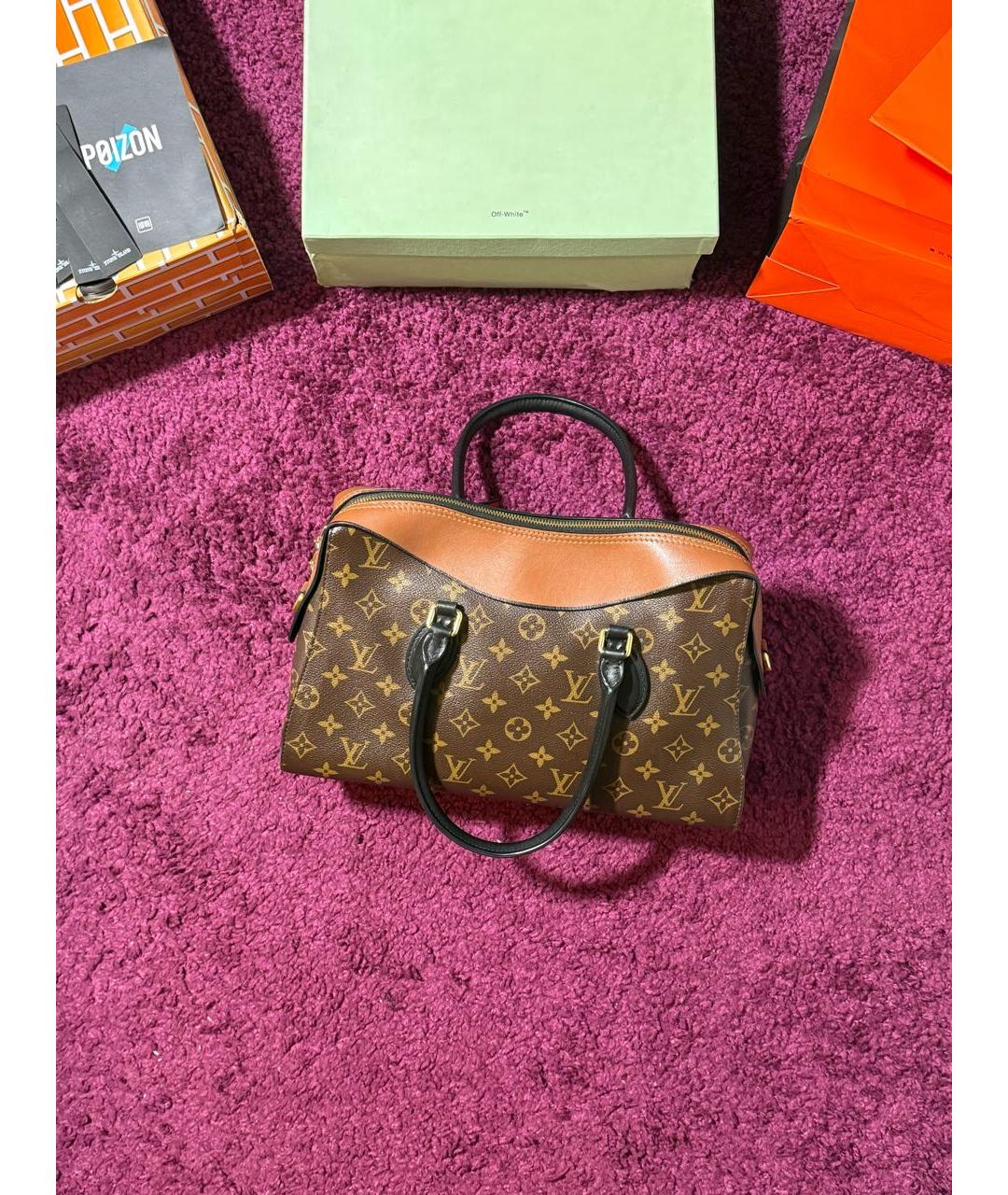 LOUIS VUITTON Коричневая сумка тоут, фото 2