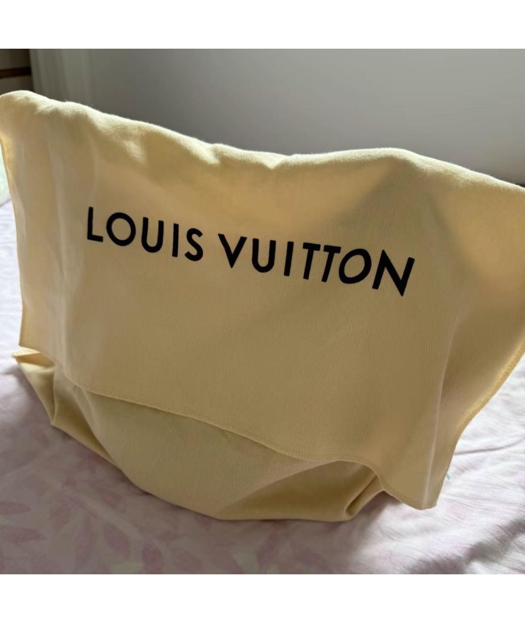 LOUIS VUITTON Коричневая кожаная сумка через плечо, фото 3