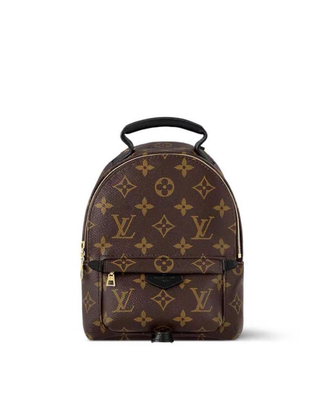 LOUIS VUITTON Коричневый рюкзак, фото 1