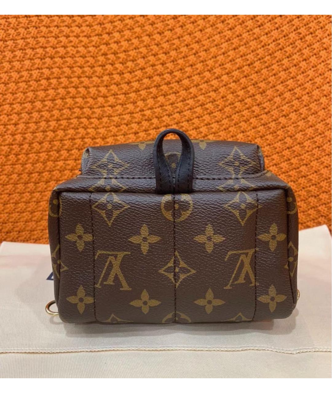 LOUIS VUITTON Коричневый рюкзак, фото 5