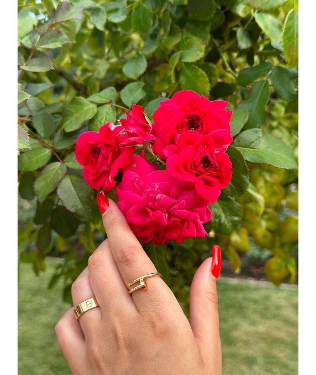 CARTIER Розовое кольцо из розового золота, фото 4