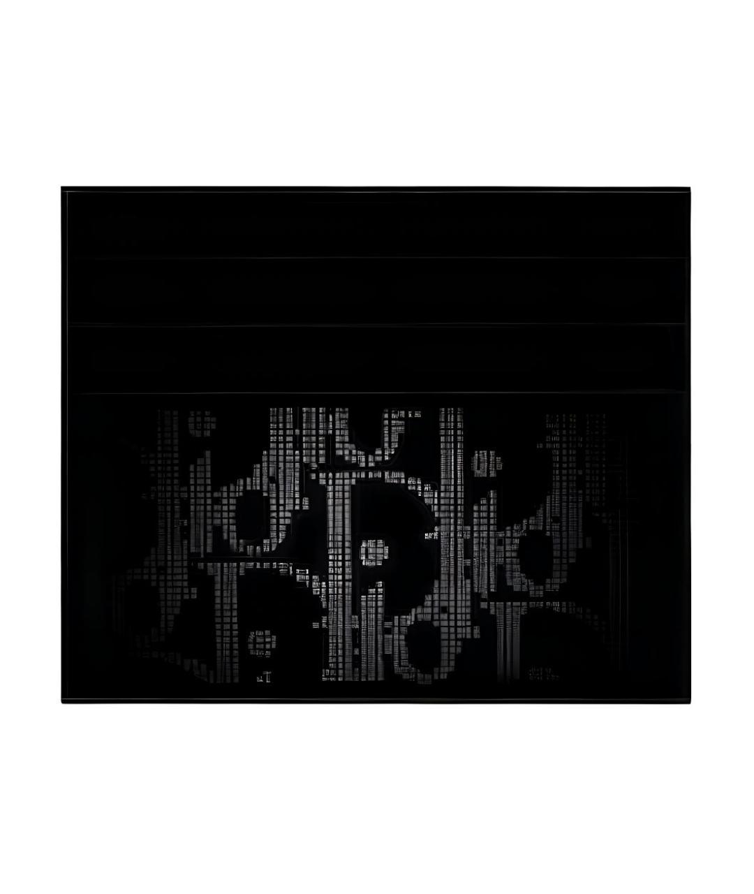 CHRISTIAN DIOR Черный кожаный кардхолдер, фото 3