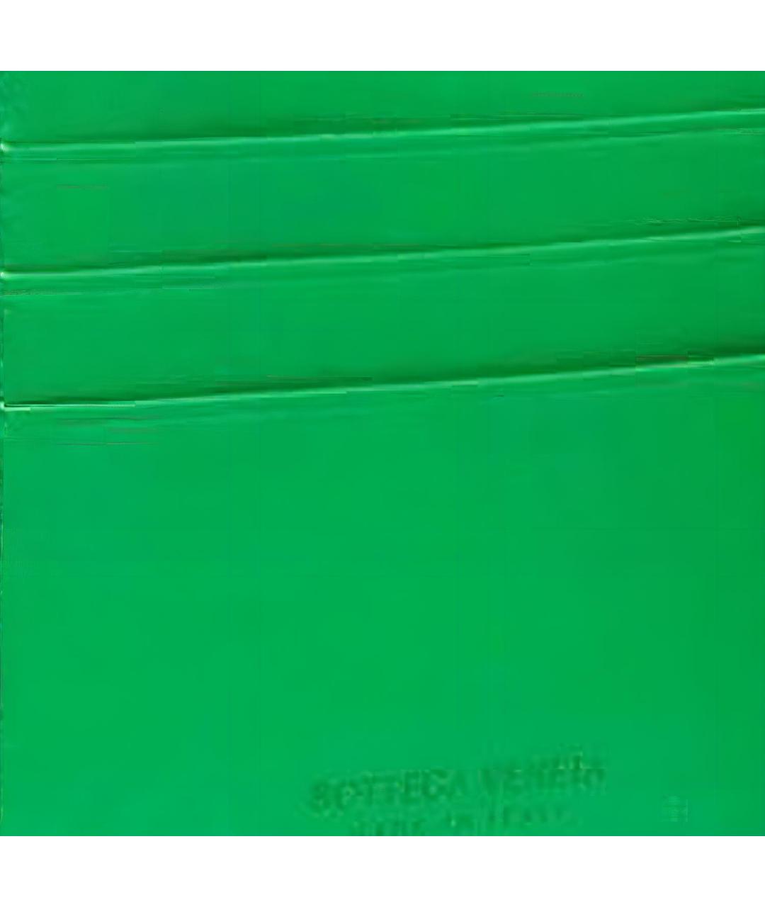BOTTEGA VENETA Зеленый кожаный кошелек, фото 5